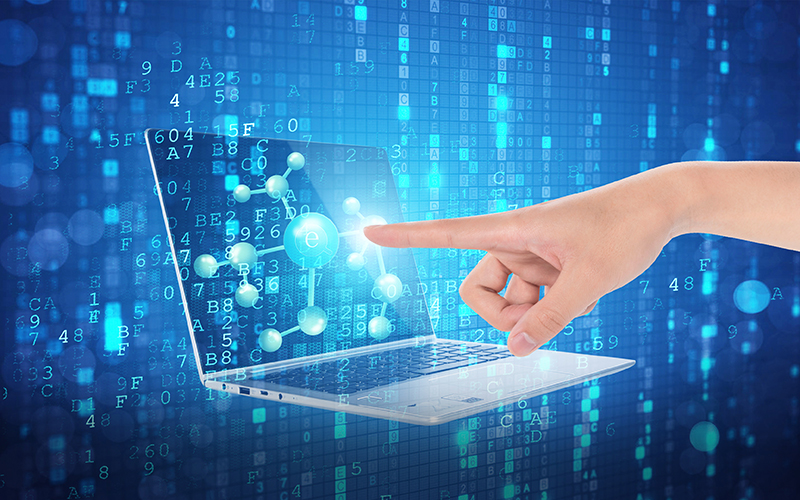 cv xin việc nganh it